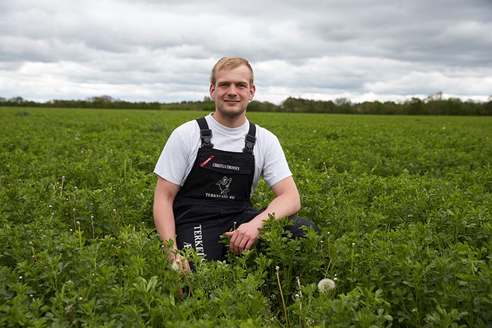 Terkelsig Æg (050636)