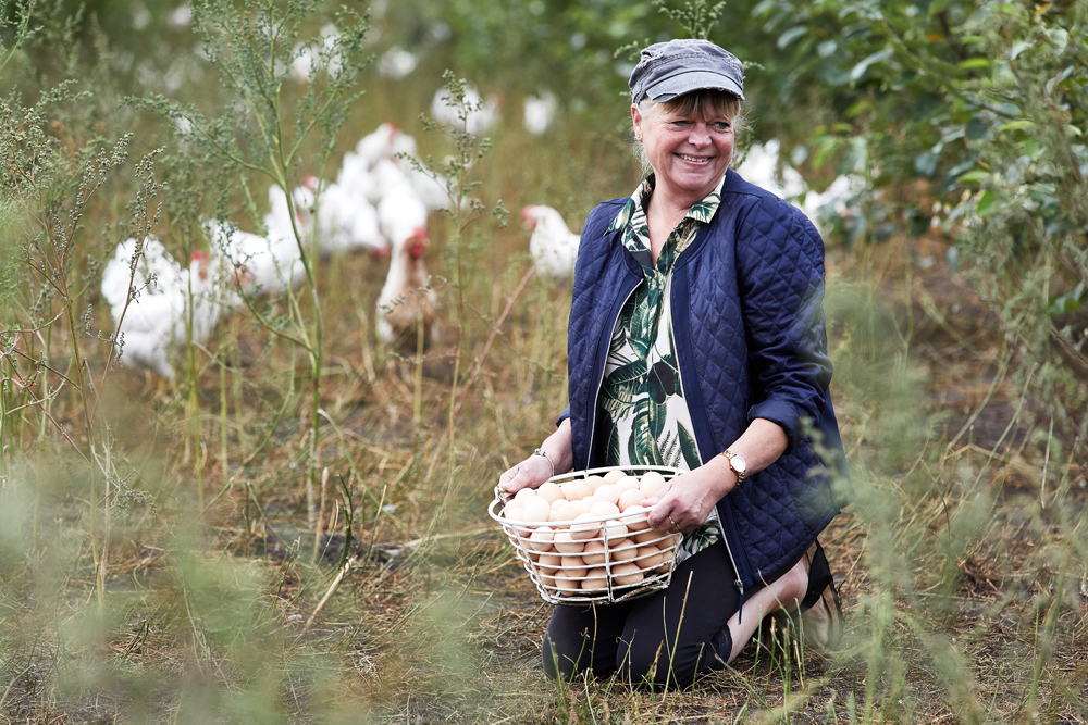 Nørreåens Æg (062687)